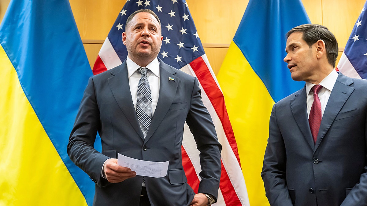 Image for cluster 10