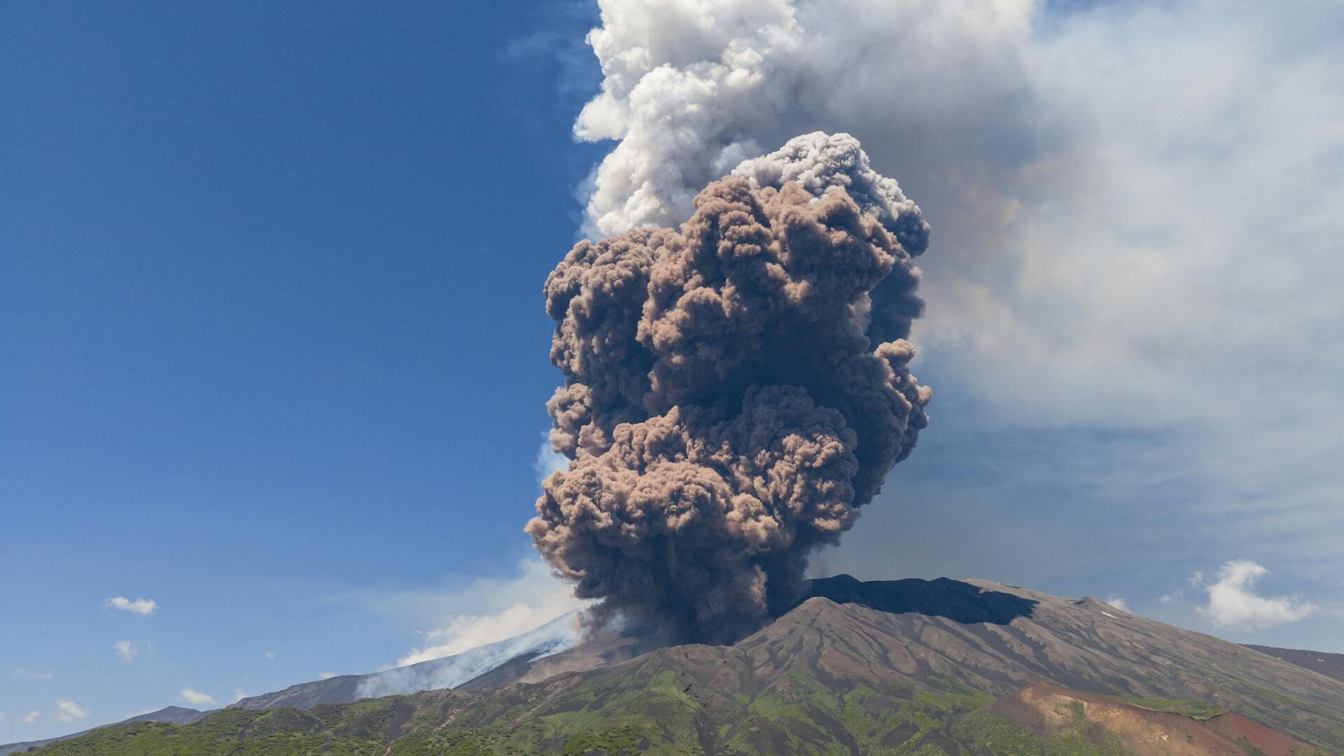 Image for cluster 4