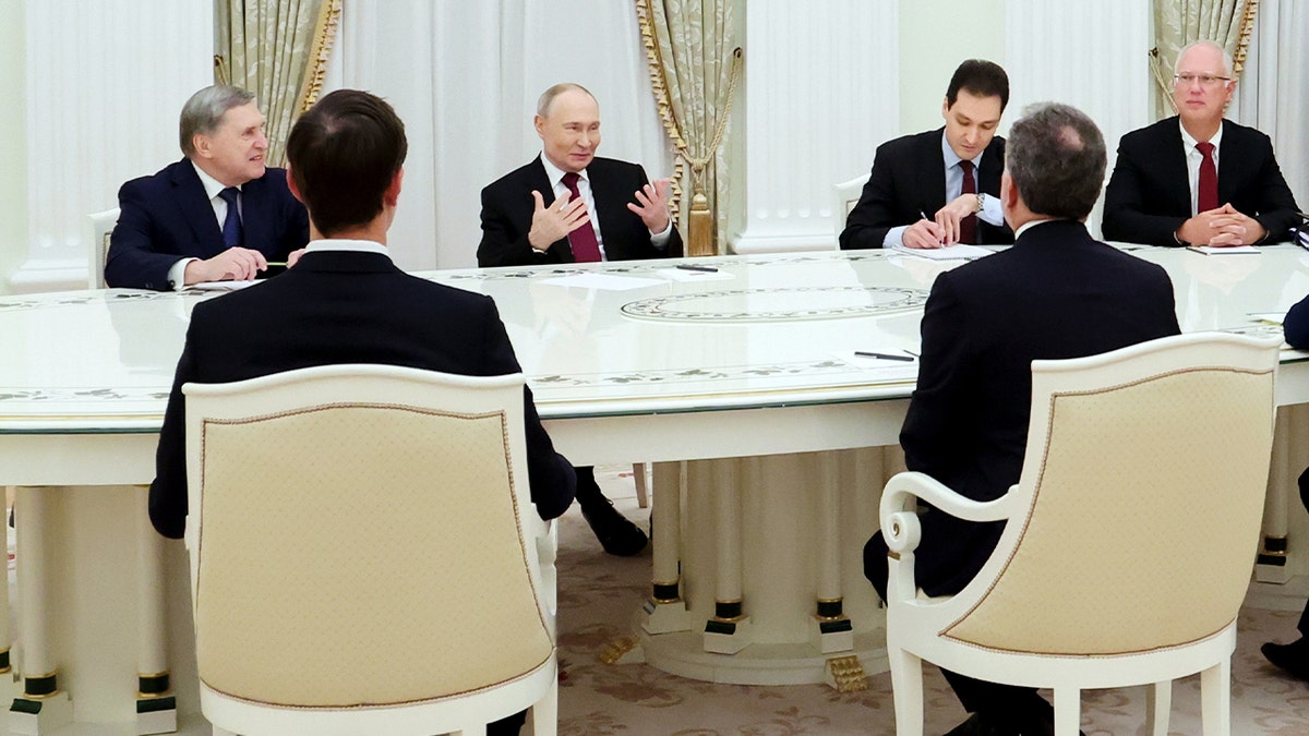 Image for cluster 11