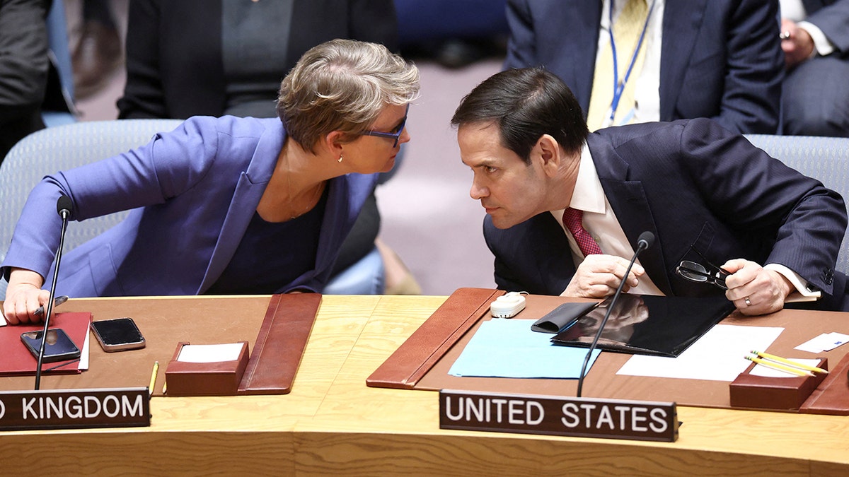 Image for cluster 11