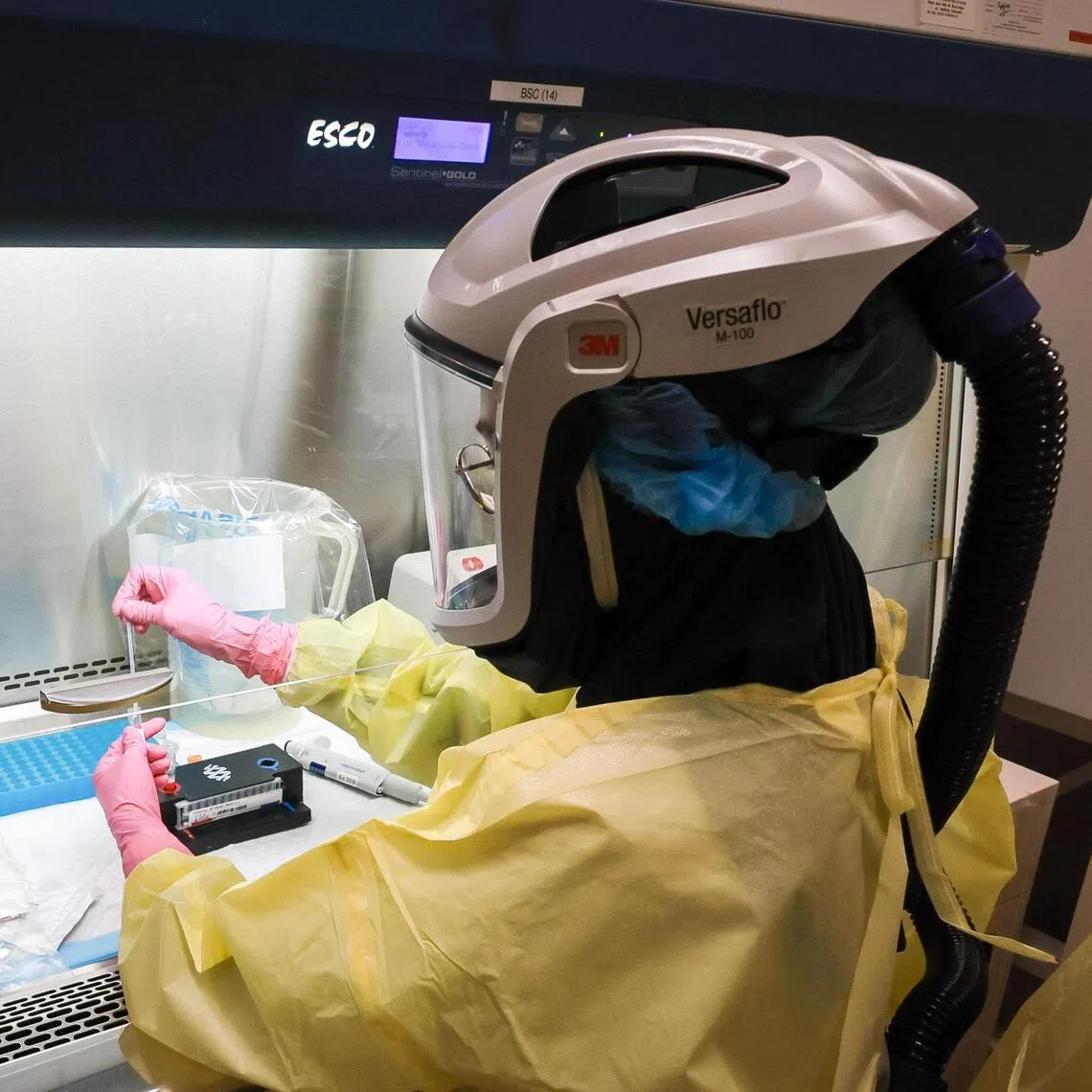 Image for cluster 11