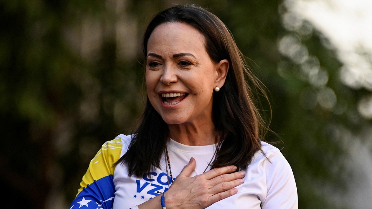 Image for cluster 11