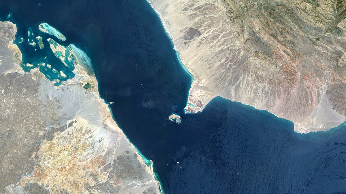 Image for cluster 24