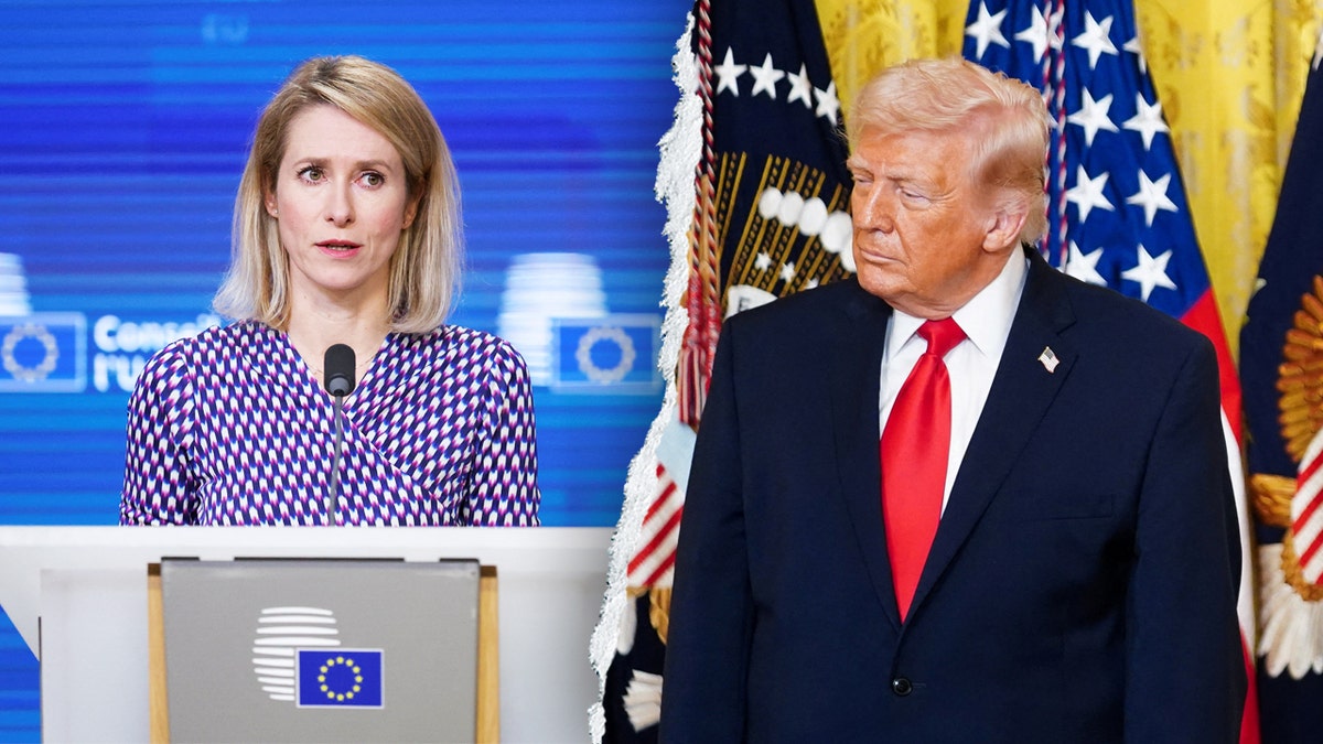 Image for cluster 14