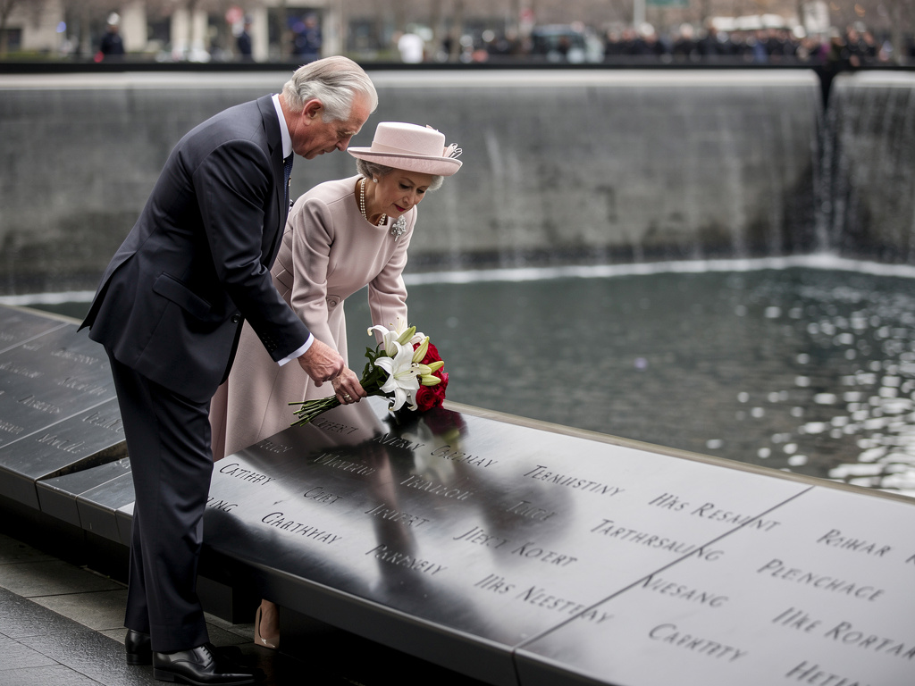 Image for cluster 10