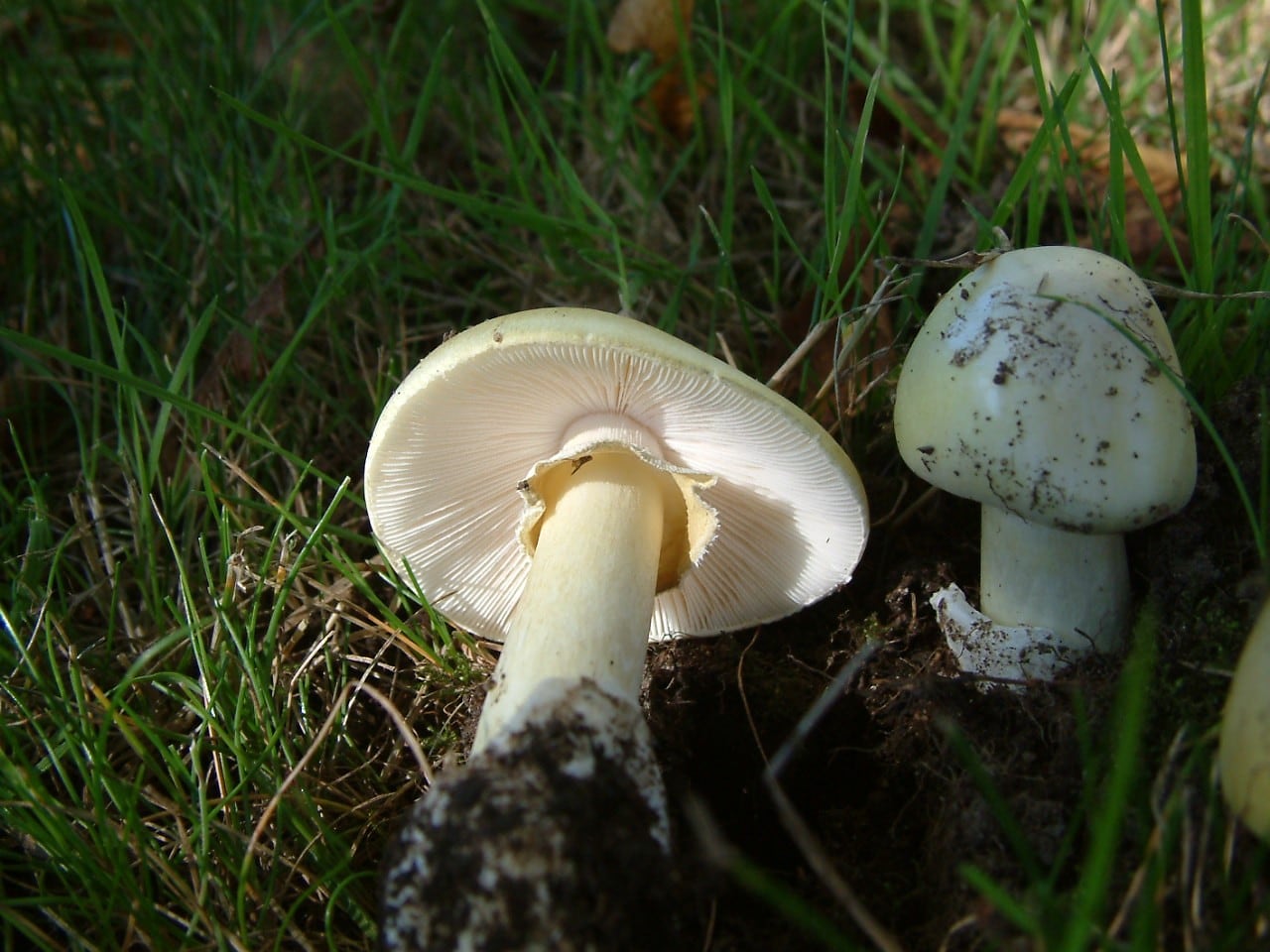 Image for cluster 9
